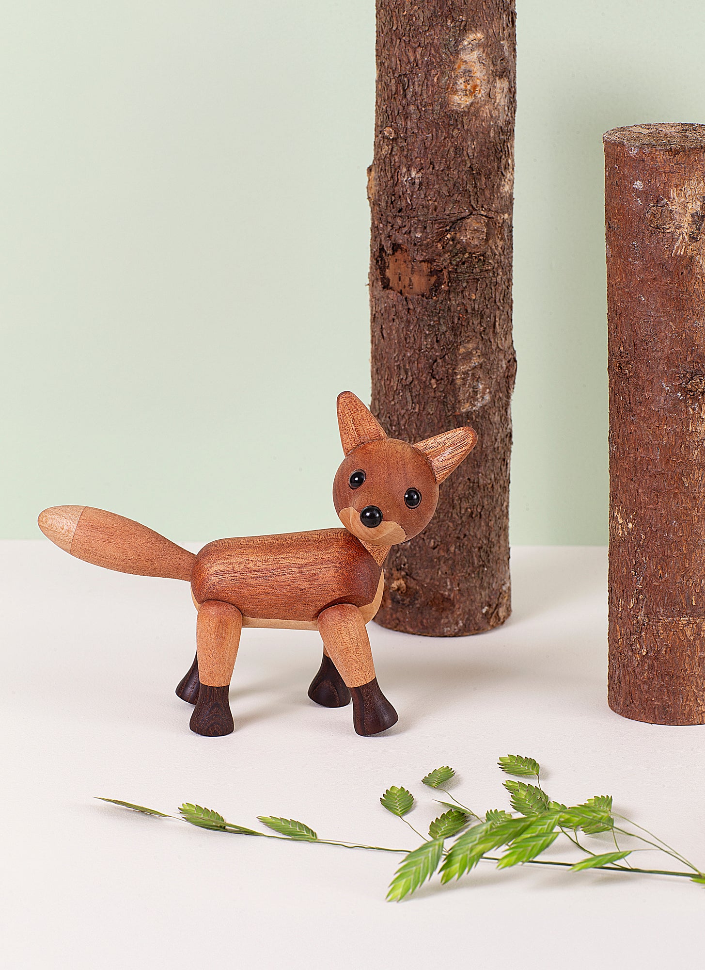 Foxy